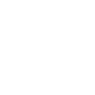 tmslighting.com-logo