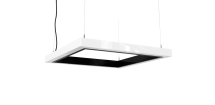 FORTICE_6465_Pendant_1920x940_1stimg_Wed Sept30th 2026 copy.png