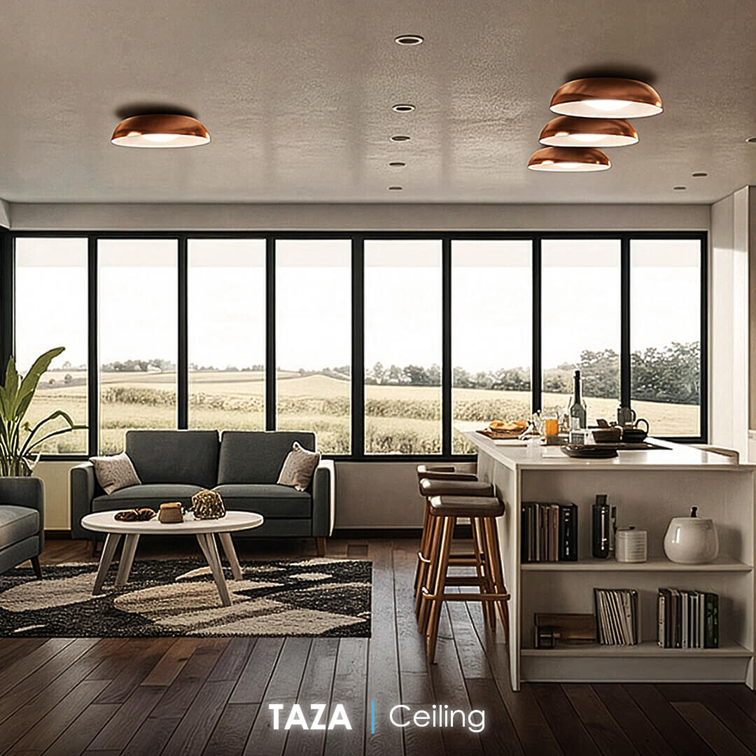 TAZA Ceiling Light