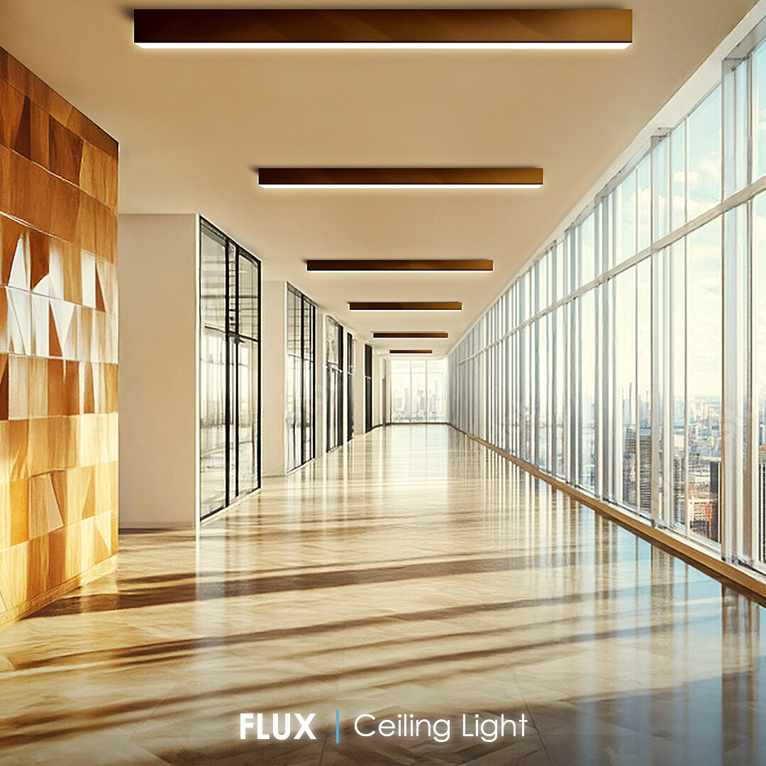 FLUX Ceiling Light