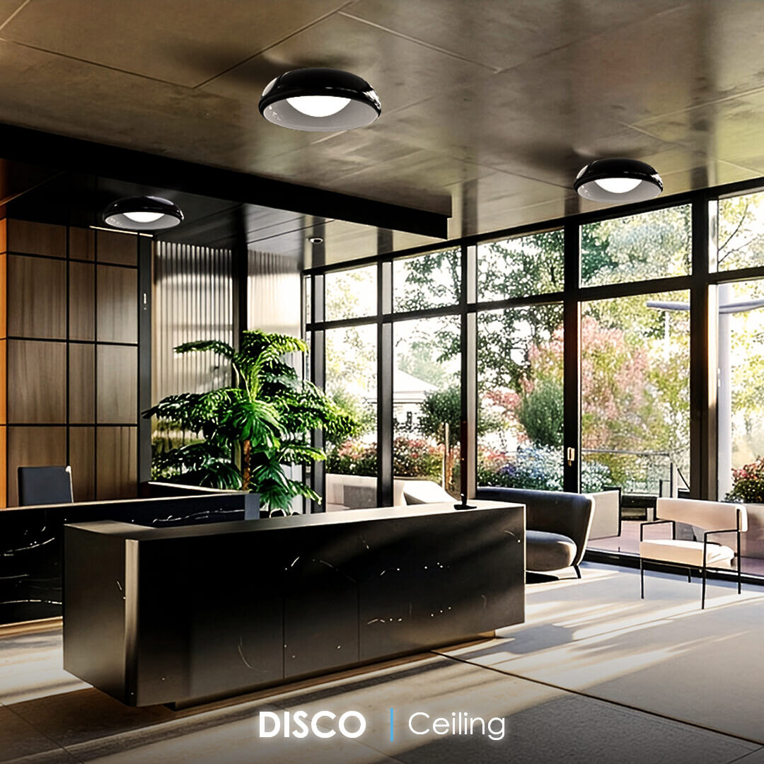 DISCO Ceiling Light