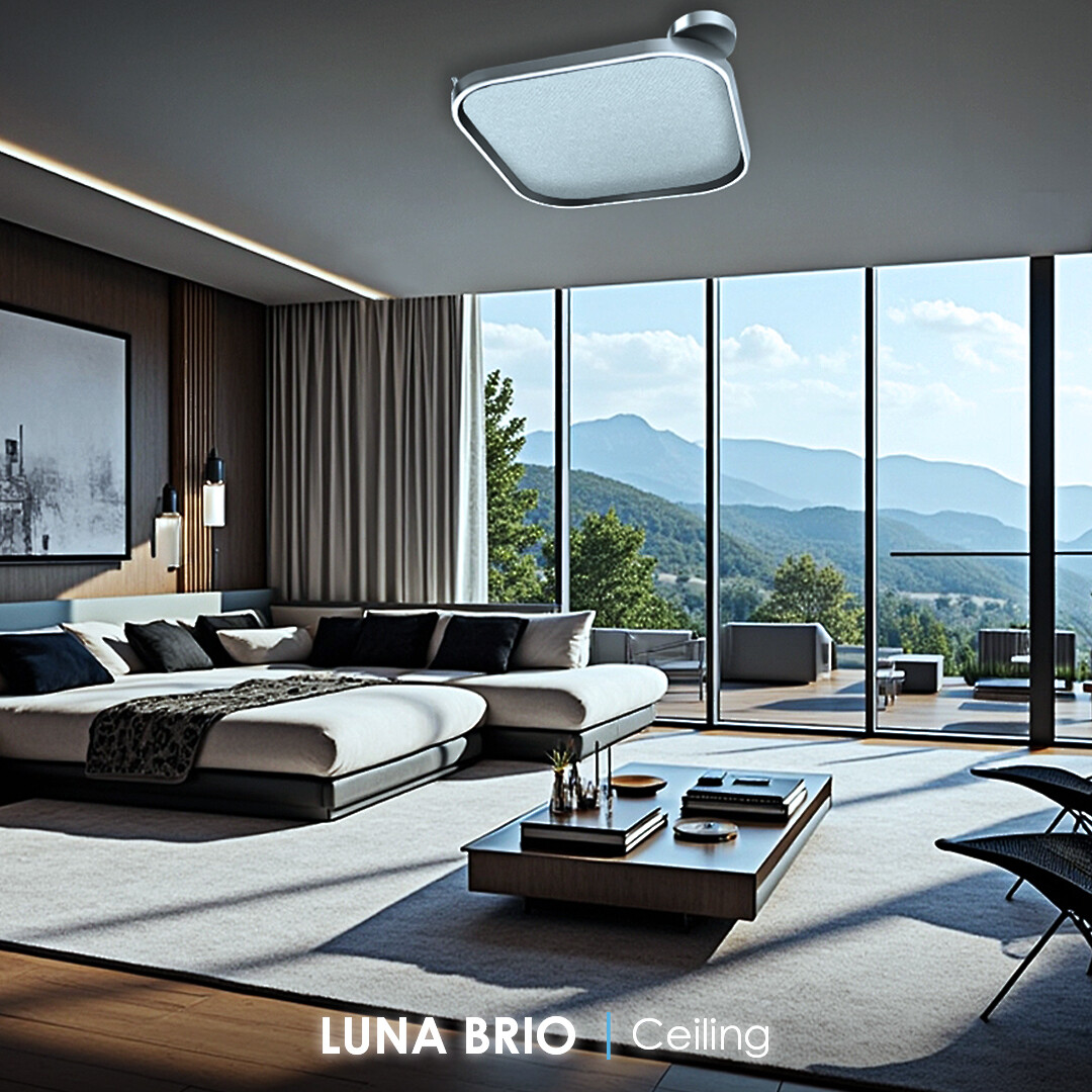 Luna Brio Acoustic Ceiling Light